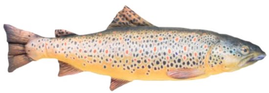 Forel Knuffel - 65cm - Visknuffel